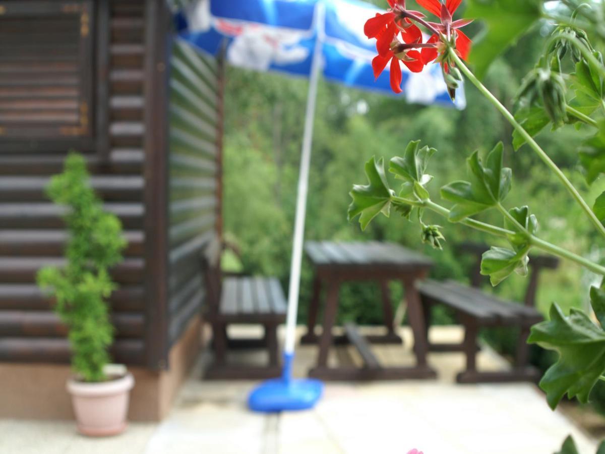 לינה וארוחת בוקר גרבובץ Bed & Breakfast Helena חדר תמונה