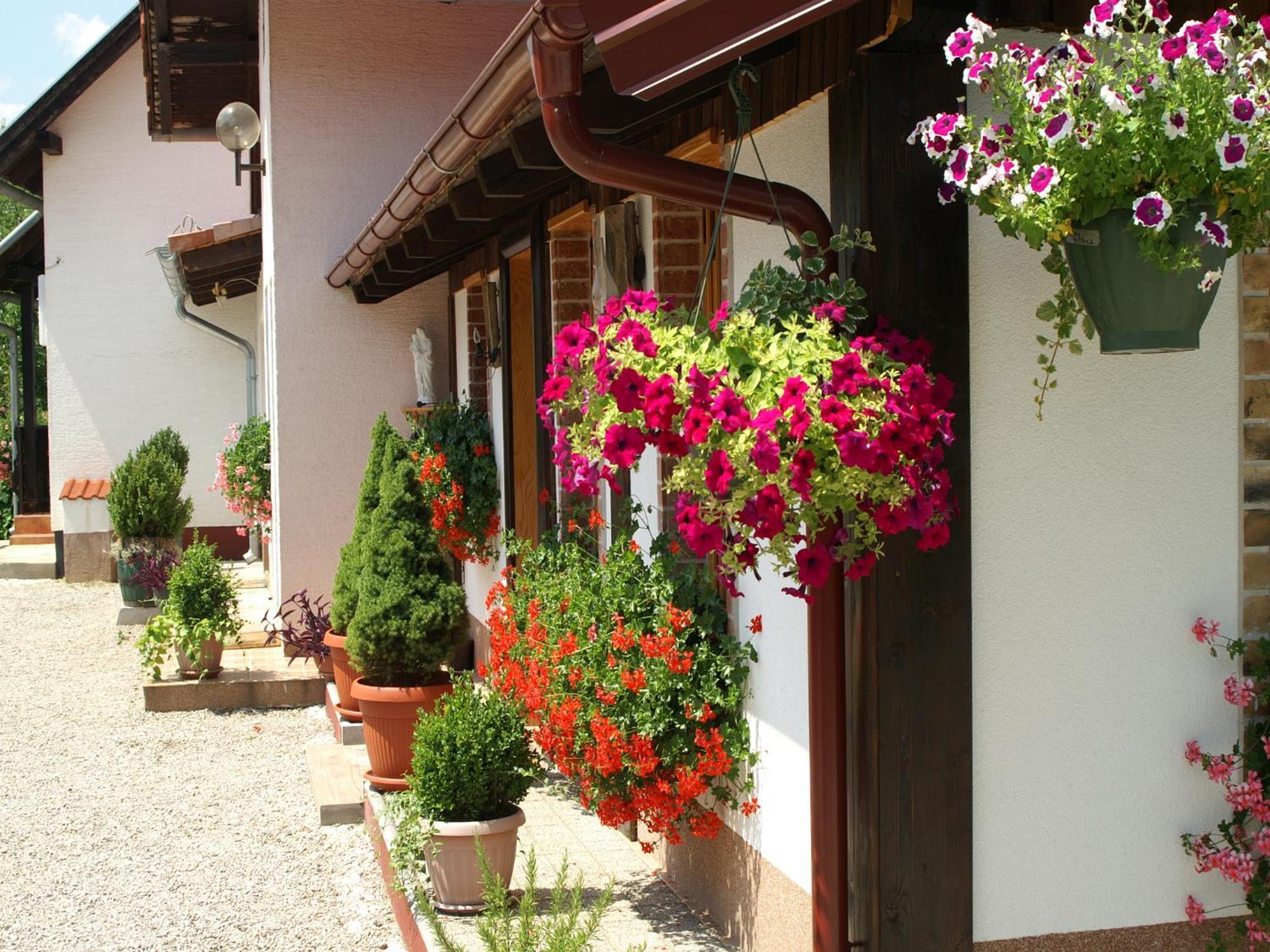 לינה וארוחת בוקר גרבובץ Bed & Breakfast Helena חדר תמונה